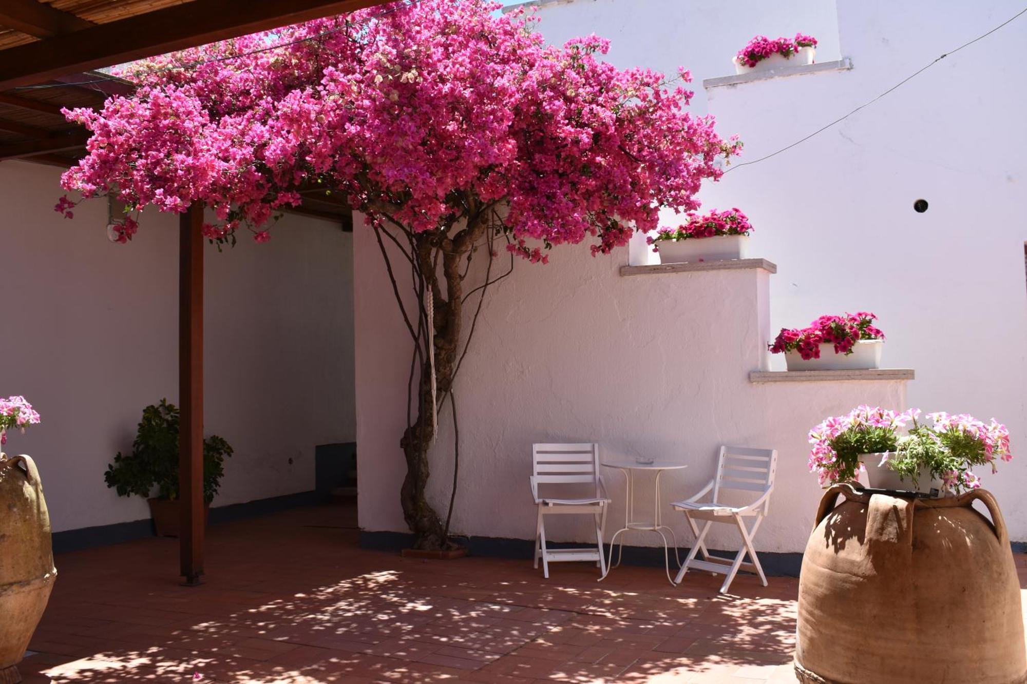 B&B Casabianca Trogir Exterior foto
